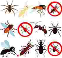 Insect Control in jeddah